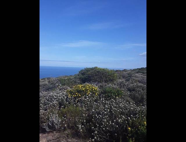 LAND FOR SALE IN VILLAGE ON SEA